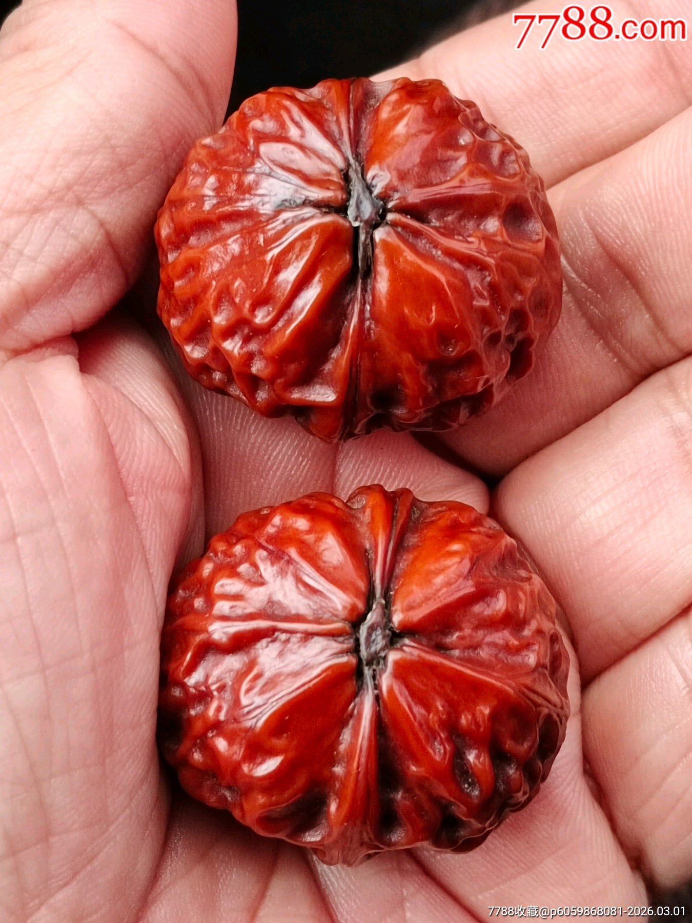 19856上海朱先生文玩核桃