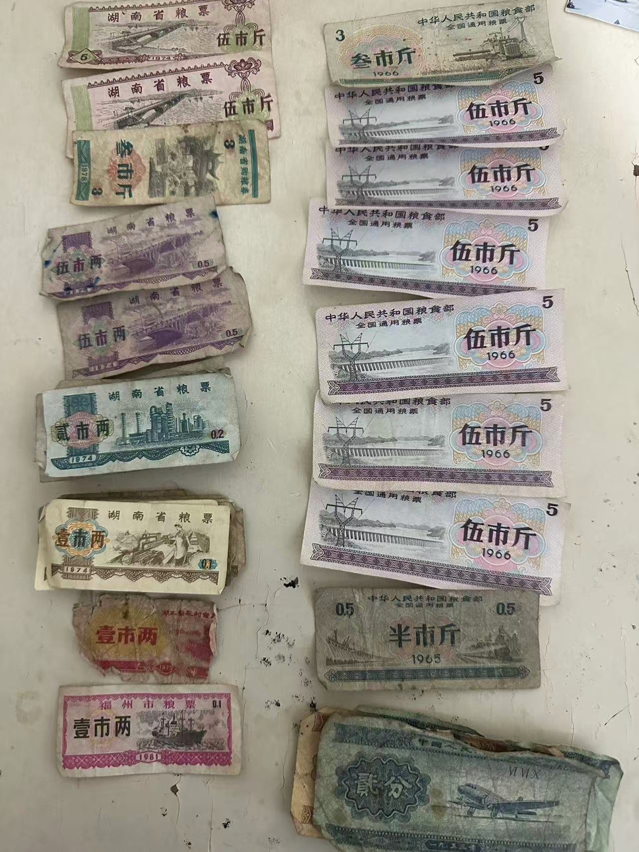 100117欧元洪粮票